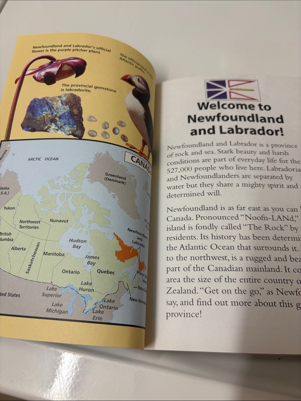 4/$20 Scholastic Newfoundland and Labrador children’s book — Rachel Eagen - Picture 3 of 5